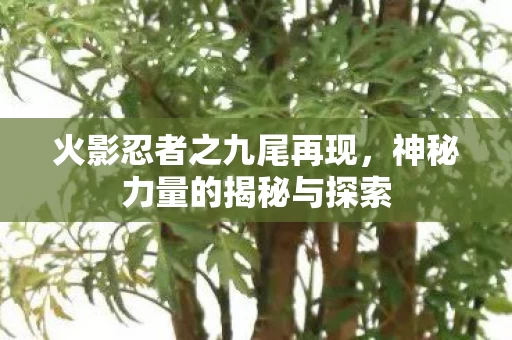 神秘力量的揭秘与探索图片