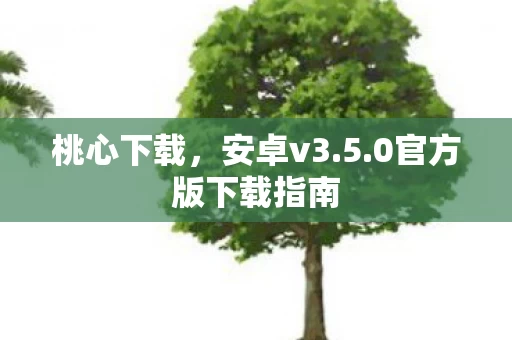 0官方版下载指南图片