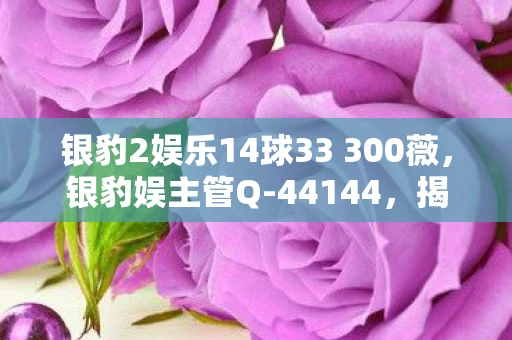银豹2娱乐14球33 300薇，银豹娱主管Q-44144，揭秘背后的故事