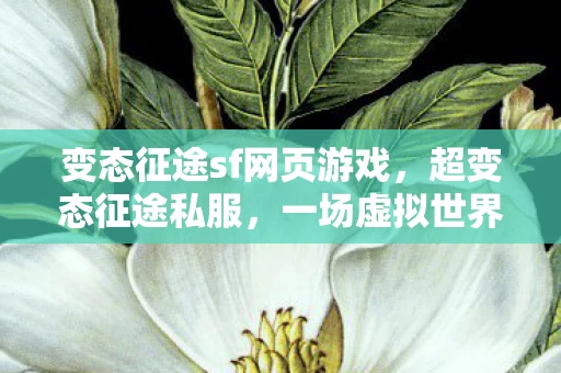 变态征途sf网页游戏，超变态征途私服，一场虚拟世界的狂欢与反思