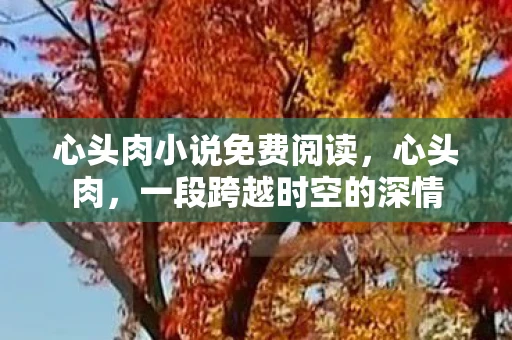 心头肉小说免费阅读,心头肉,一段跨越时空的深情 心头肉小说免费阅读,心头肉,一段跨越时空的深情