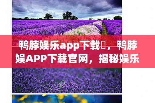 鸭脖娱乐app下载汅，鸭脖娱APP下载官网，揭秘娱乐新体验