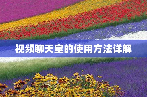 视频聊天室的使用方法详解图片