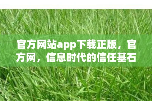 官方网站app下载正版，官方网，信息时代的信任基石