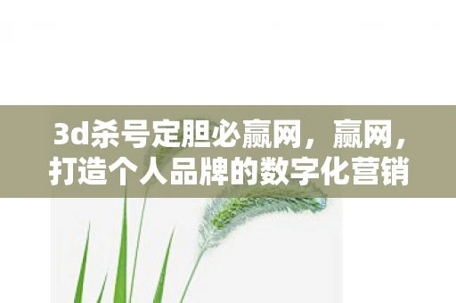 3d杀号定胆必赢网，赢网，打造个人品牌的数字化营销平台