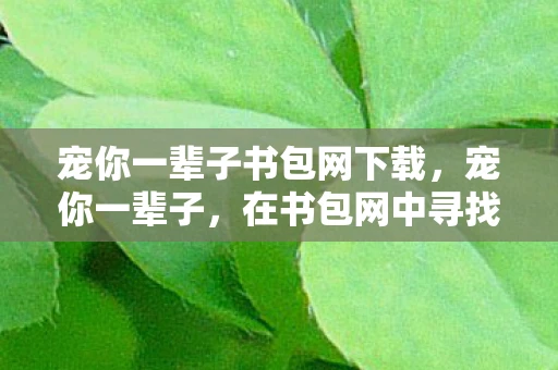 宠你一辈子书包网下载，宠你一辈子，在书包网中寻找爱的故事