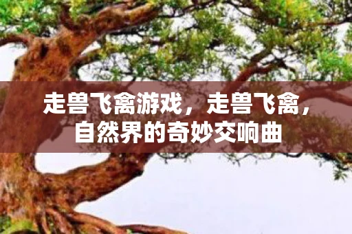 走兽飞禽游戏，走兽飞禽，自然界的奇妙交响曲