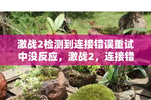 激战2检测到连接错误重试中没反应，激战2，连接错误的重试之路