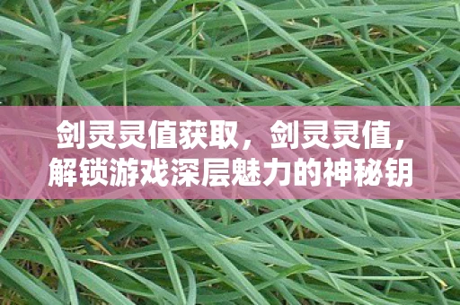 剑灵灵值获取，剑灵灵值，解锁游戏深层魅力的神秘钥匙