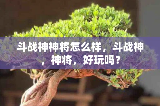 斗战神神将怎么样,斗战神,神将,好玩吗? 斗战神神将怎么样,斗战神,神将,好玩吗?