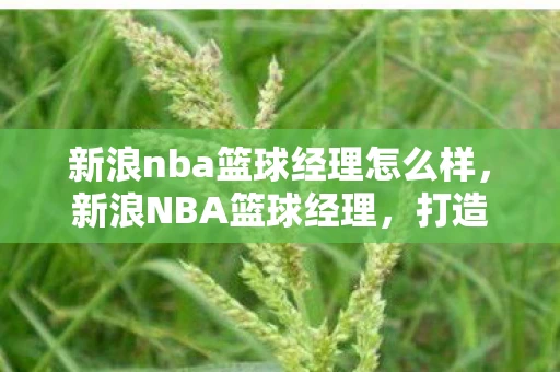 新浪nba篮球经理怎么样，新浪NBA篮球经理，打造你的梦幻阵容