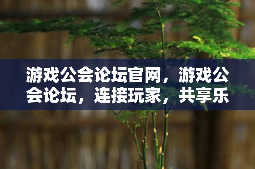 游戏公会论坛官网，游戏公会论坛，连接玩家，共享乐趣