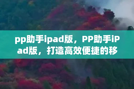 pp助手ipad版，PP助手iPad版，打造高效便捷的移动设备管理体验