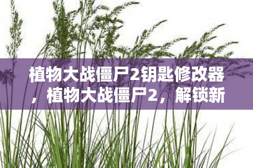 植物大战僵尸2钥匙修改器，植物大战僵尸2，解锁新世界的钥匙