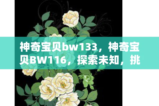 神奇宝贝bw133，神奇宝贝BW116，探索未知，挑战自我