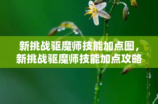 新挑战驱魔师技能加点图，新挑战驱魔师技能加点攻略