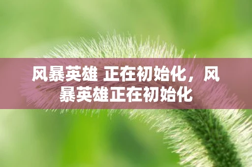 风暴英雄 正在初始化，风暴英雄正在初始化