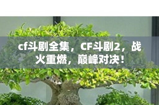 cf斗剧全集,CF斗剧2,战火重燃,巅峰对决! cf斗剧全集,CF斗剧2,战火重燃,巅峰对决!