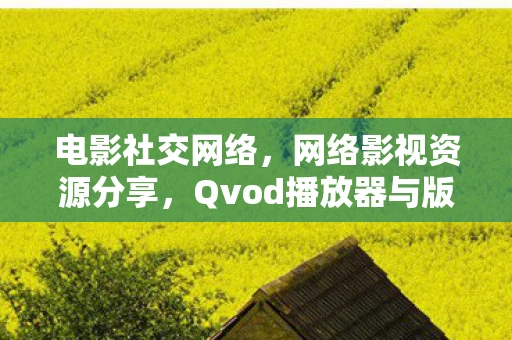 电影社交网络，网络影视资源分享，Qvod播放器与版权争议