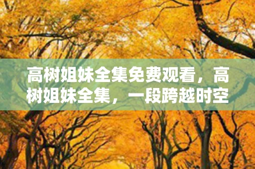 高树姐妹全集免费观看，高树姐妹全集，一段跨越时空的情感纽带