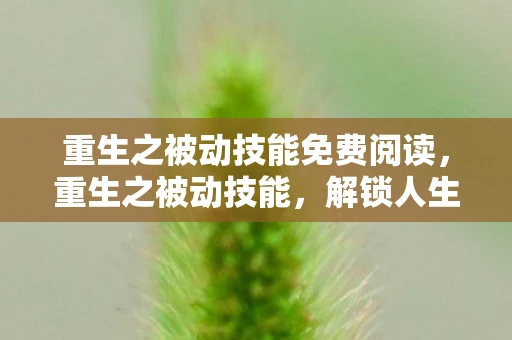 重生之被动技能免费阅读，重生之被动技能，解锁人生新篇章