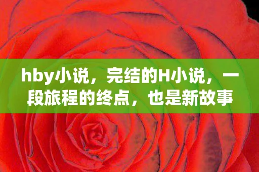 hby小说，完结的H小说，一段旅程的终点，也是新故事的起点