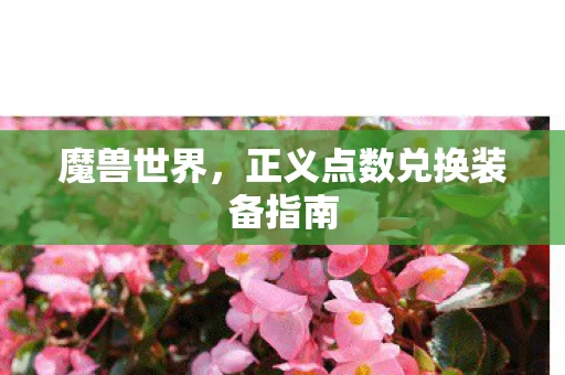 正义点数兑换装备指南图片