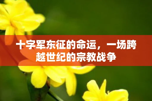 十字军东征的命运，一场跨越世纪的宗教战争