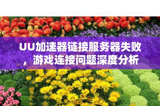 UU加速器链接服务器失败图片