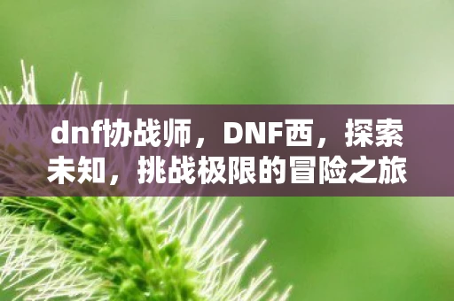 dnf协战师，DNF西，探索未知，挑战极限的冒险之旅