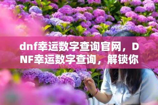 dnf幸运数字查询官网，DNF幸运数字查询，解锁你的游戏幸运密码