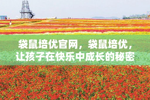 袋鼠培优官网，袋鼠培优，让孩子在快乐中成长的秘密