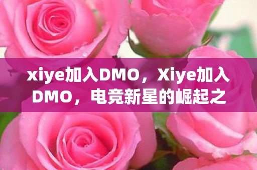 xiye加入DMO，Xiye加入DMO，电竞新星的崛起之路
