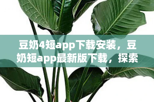 豆奶4短app下载安装，豆奶短app最新版下载，探索短视频世界的全新体验