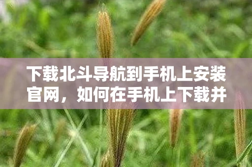 下载北斗导航到手机上安装官网，如何在手机上下载并安装北斗导航