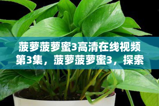 菠萝菠萝蜜3高清在线视频第3集,菠萝菠萝蜜3,探索未知世界的奇妙旅程 菠萝菠萝蜜3高清在线视频第3集,菠萝菠萝蜜3,探索未知世界的奇妙旅程