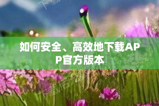 如何安全、高效地下载APP官方版本
