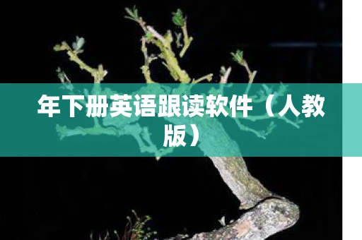 年下册英语跟读软件（人教版）