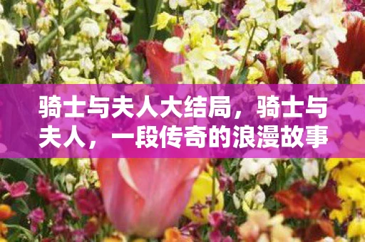 骑士与夫人大结局，骑士与夫人，一段传奇的浪漫故事