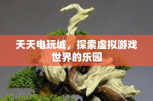 探索虚拟游戏世界的乐园图片