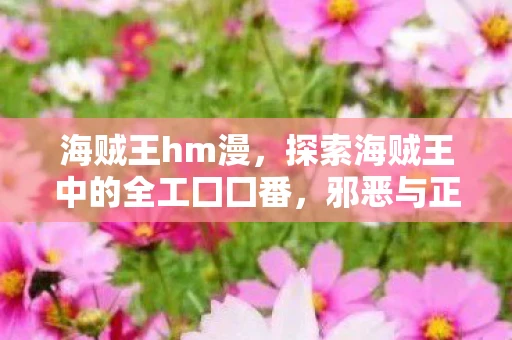 海贼王hm漫，探索海贼王中的全工囗囗番，邪恶与正义交织的冒险之旅