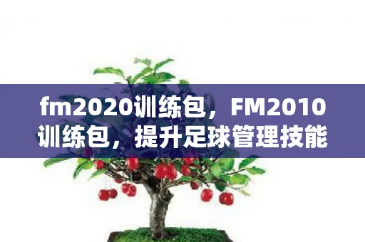 fm2020训练包，FM2010训练包，提升足球管理技能的神器
