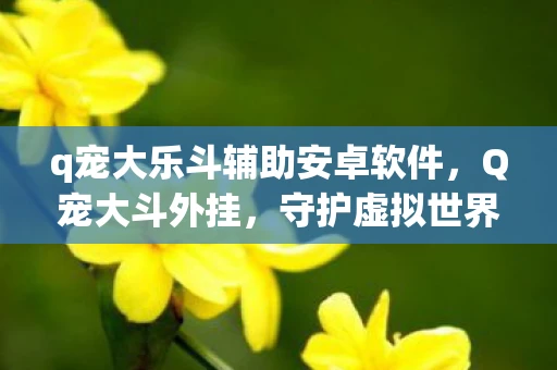 q宠大乐斗辅助安卓软件，Q宠大斗外挂，守护虚拟世界的正义之战