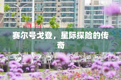 赛尔号戈登,星际探险的传奇 赛尔号戈登,星际探险的传奇