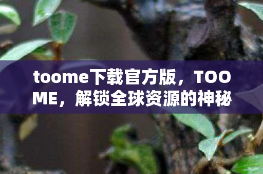 toome下载官方版,TOOME,解锁全球资源的神秘钥匙 toome下载官方版,TOOME,解锁全球资源的神秘钥匙