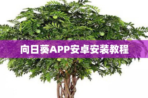向日葵APP安卓安装教程图片