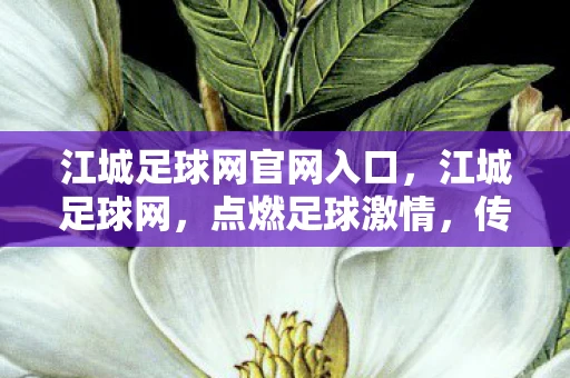 江城足球网官网入口,江城足球网,点燃足球激情,传递足球梦想 江城足球网官网入口,江城足球网,点燃足球激情,传递足球梦想