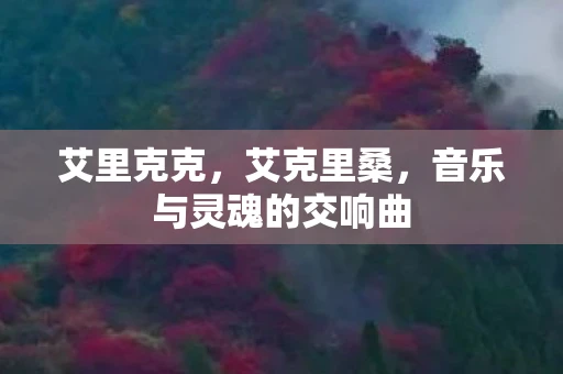 艾里克克，艾克里桑，音乐与灵魂的交响曲