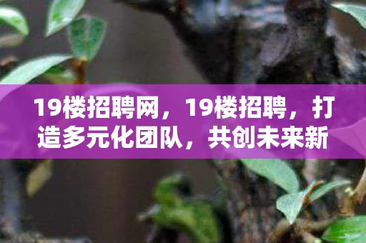 19楼招聘网，19楼招聘，打造多元化团队，共创未来新篇章