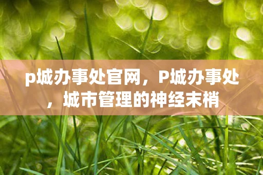 p城办事处官网，P城办事处，城市管理的神经末梢
